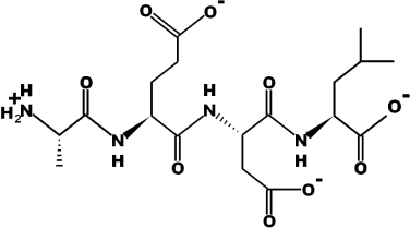 Bronchogen (Ala-Glu-Asp-Leu) peptide structure